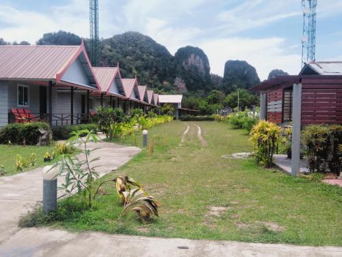 Phi Phi Coralbay