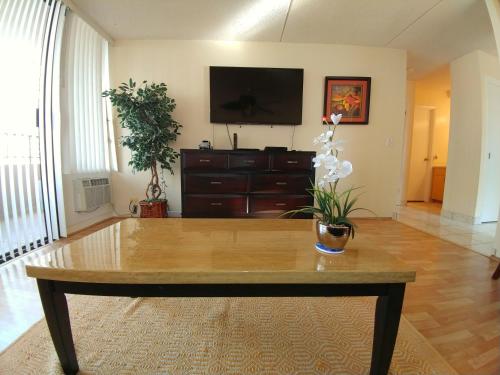 Royal Kuhio - Large 1 bedroom Apartment - image 8