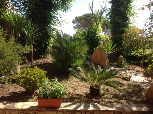 Le Due Palme Angelo