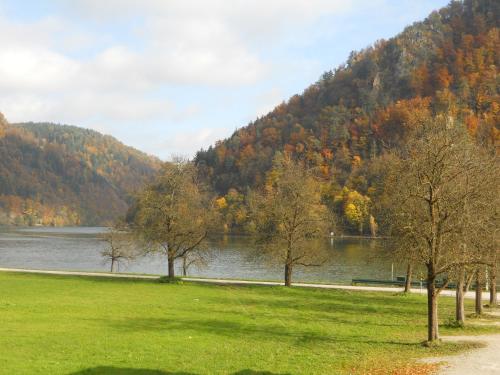 Заобикаляща среда, Gasthof in der Exlau in Kirchberg Ob Der Donau