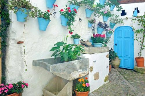 De Patios, Córdoba (foto 6)