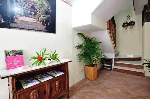 De Patios 3