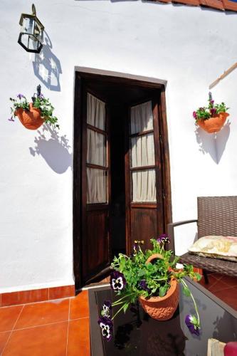 De Patios 4