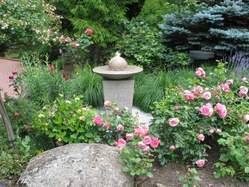 設施, 費佛姆爾餐廳酒店 (Hotel-Restaurant Pfeffermuhle) in 德爾費爾登