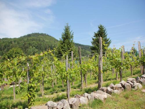 Nice chalet with dishwasher, in the High Vosges