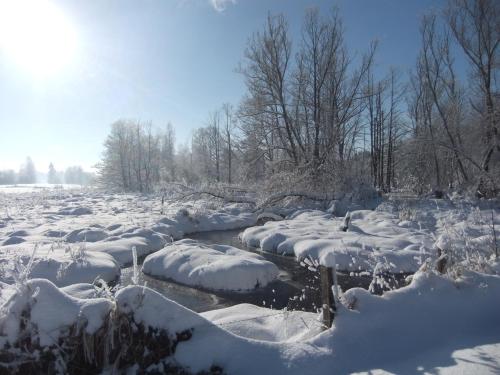 Relaxhotel Pip Margraff - image 11