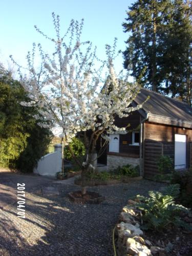 Maison Bois "Alaska" - Location saisonnière - Rochecorbon