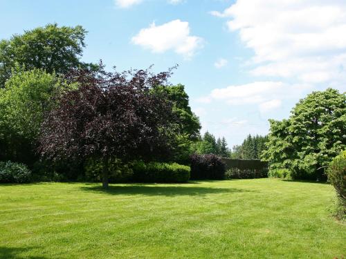  Historic Cottage in Vielsalm with Private Terrace in Petites Tailles