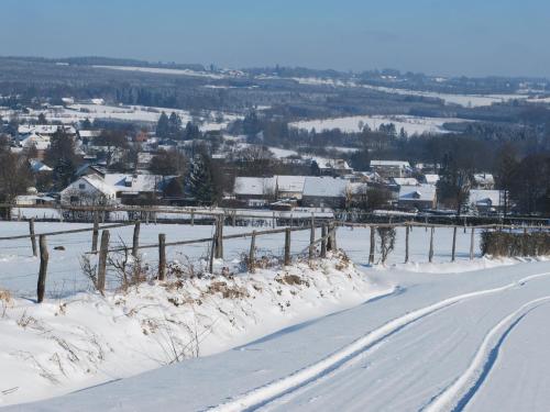 Charming cottage near famous Francorchamps