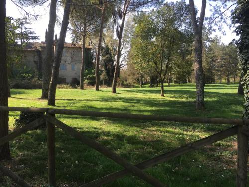 Old Town in the green: Federico's apartment.