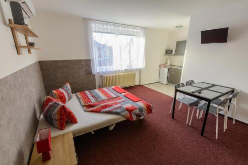 Apartmány Vilma - image 12