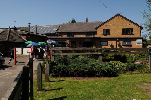 Hogs Head Hotel - image 12