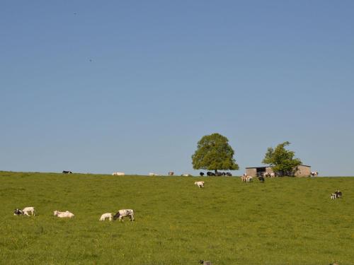 Welcoming Cottage in Offagne with Garden