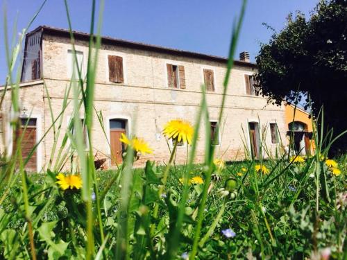 Il Rudere - Accommodation - Ravenna