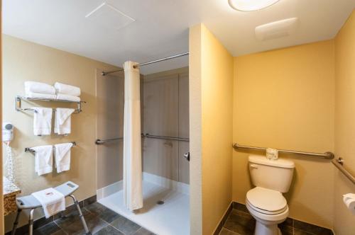 Queen Room with Roll-In Shower - Accessible/Non-Smoking