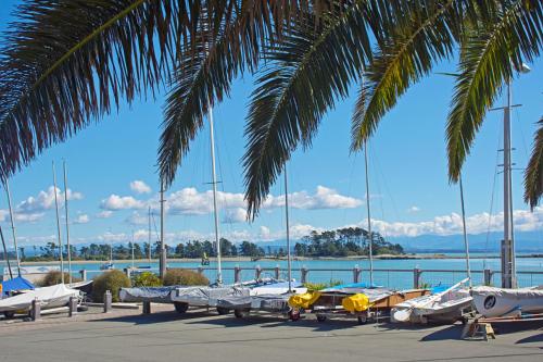 Waterfront Escape in Nelson