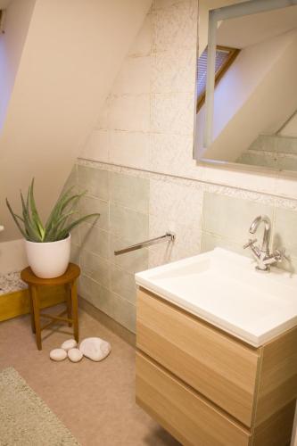 Růžová chalupa u Šimánků obrázok