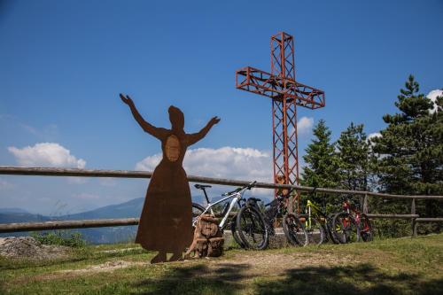 Hotel Irma - image 11