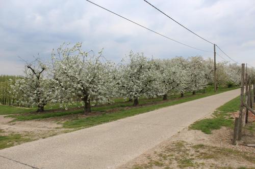 B&B De Vroling - image 10