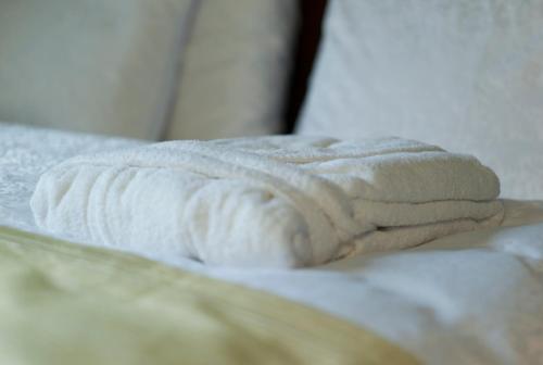 WELLNESS HOTEL LÖWE - image 10