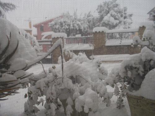  Sa 'E Jana in Orgosolo