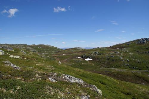 Veggli Vertshus - image 14