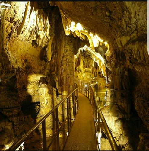 Bustos gîte à louer CONQUES-SUR-ORBIEL