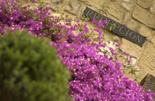 Hotel Palacio Obispo - image 12