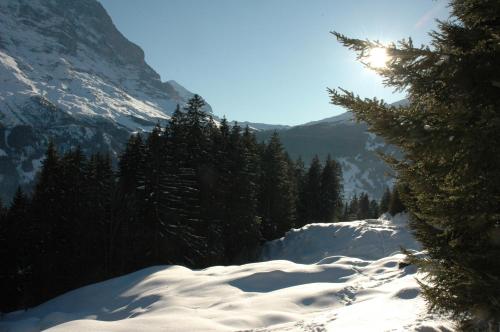 Alpenhof - image 9