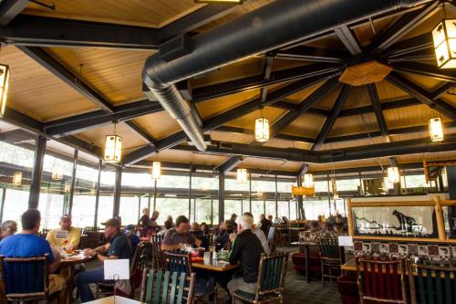 كولتير باي فيليدج كولتير باي فيليدج