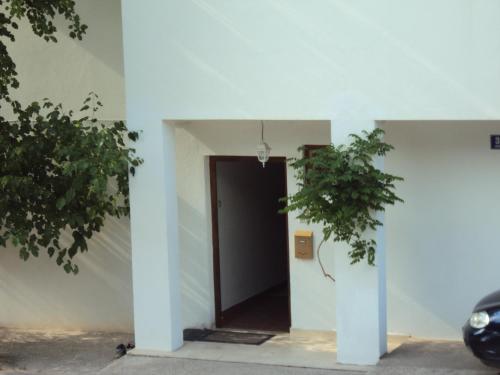 Apartments Petar - image 12