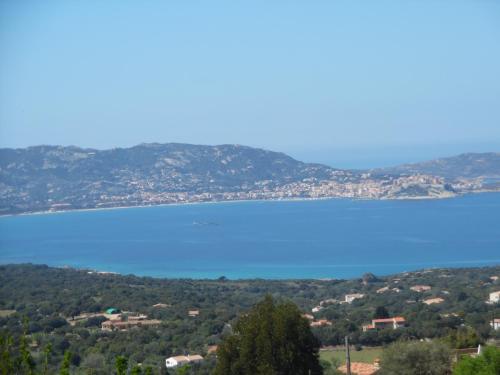 Studio du Commandant Marché - Location saisonnière - Calvi