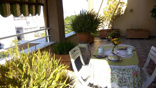B&B Pisani 5