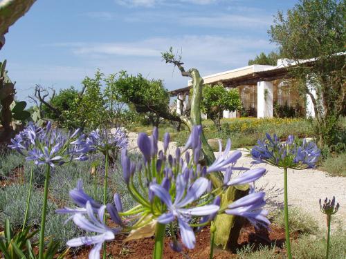 Masseria L'Antico Frantoio