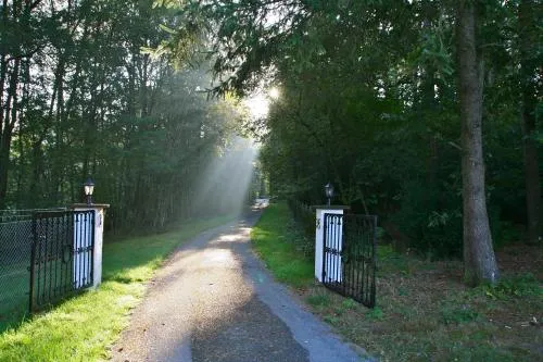 Ferienhaus Huus ton witten Barg in Undeloh, Deutschland