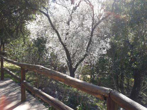 

Cabañas de Troncos La Cumbre