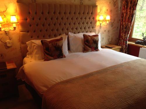Highland Bear Lodge & Luxury Bear Huts - image 14