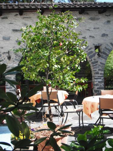 Restaurant, Hotel Arcadia in Ascona