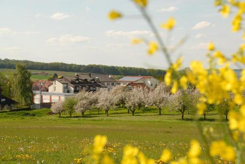 Flair Hotel Landgasthof Roger