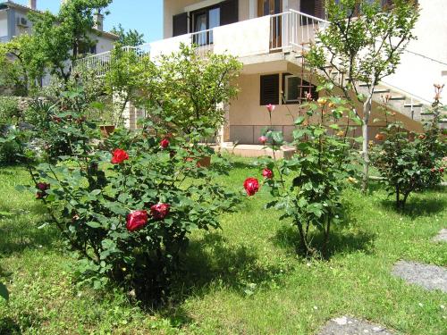 Apartment with Garden View image 5