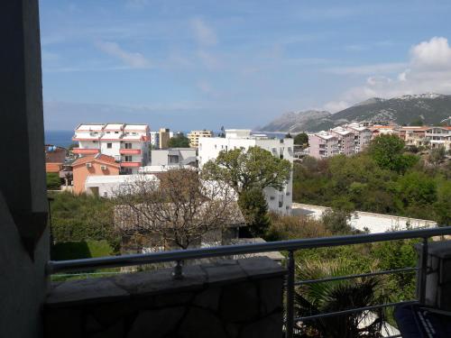 Apartments Vila Kurtagic - image 9