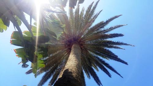 VIP Apartamentos Nogal- Adults Only - main image