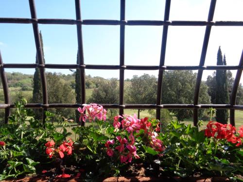  Agriturismo Podere Sant' Antonio in Alberese