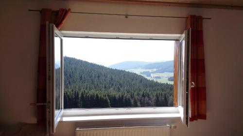 Pension Forsthaus Täle - image 8