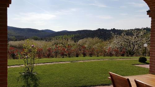 Il Giardino dei Ciliegi