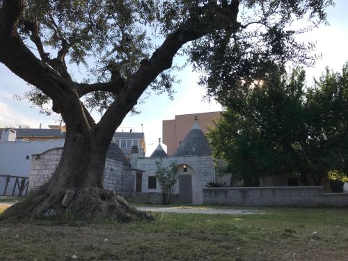  Il Trullo Di Santanna in Locorotondo