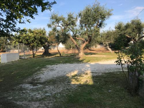 Il Trullo Di Santanna in Locorotondo