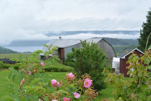 The Rustic House of the Fjord - Sainte-Rose-du-Nord