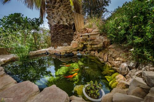 Recreational facilities, Desert Picture in Shaked