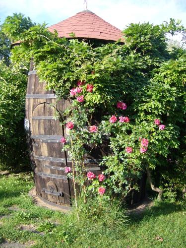 Gasthof Wastl - image 3